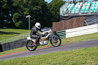 Vintage-motorcycle-club;eventdigitalimages;mallory-park;mallory-park-trackday-photographs;no-limits-trackdays;peter-wileman-photography;trackday-digital-images;trackday-photos;vmcc-festival-1000-bikes-photographs